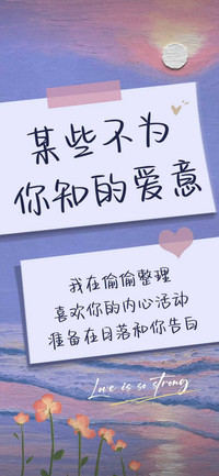 某些不为你知的爱意