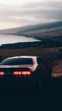 Muscle (4)