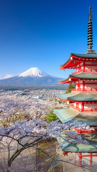 富士山
