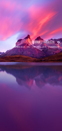新景