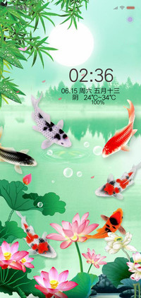 荷花情