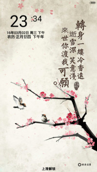 梅花烙（动态花瓣飘落+音乐锁屏）