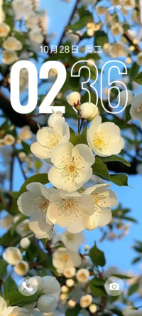 与花时