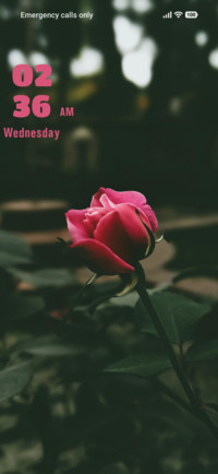 Bud