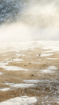 Shangri-La Morning Mist Pastoral Song