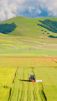 Beautiful view of the farmland