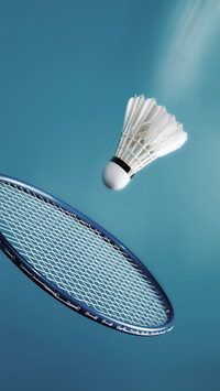 Unveiling the unique structure of badminton