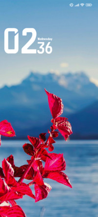 Lake Flower