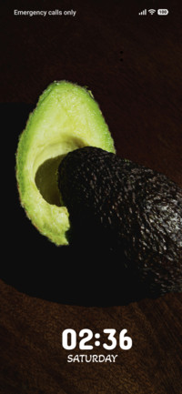 Avocado Half