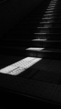 Dark (15)