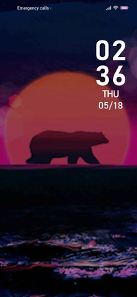 Bear in the sunset