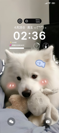忧郁小耶耶