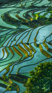 Terraced Landscape of Earth Sculpture 5
