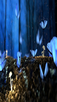 Butterfly fluttering