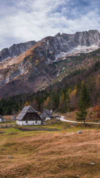 Autumn forest wooden house