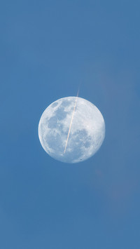 星月温柔 