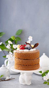 Delicious and delicious chocolate cake