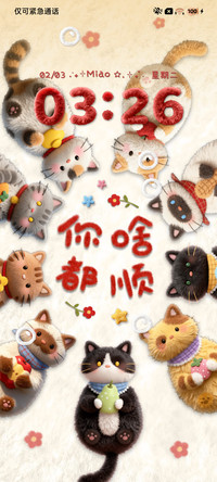 可爱毛绒好运小猫咪