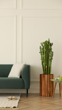 Healing furniture-02