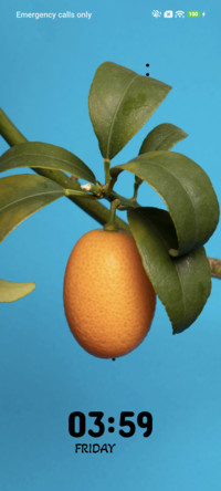 Citrus Glow