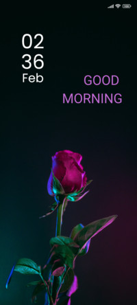 Red Rose