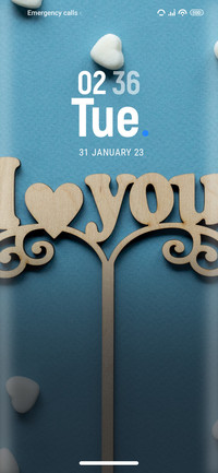 Valentine_bliss