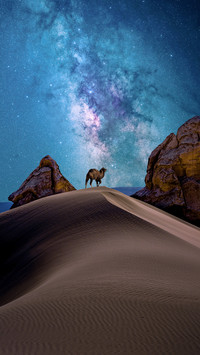 Sorting out the Evolution History of the Milky Way Galaxy 9