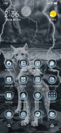 Lightning and Wolf