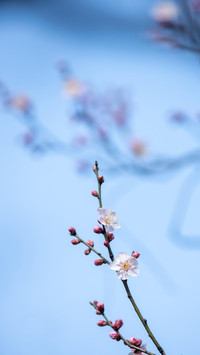 我们最美好的时光