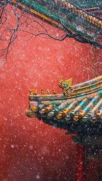 来故宫邂逅最美雪景