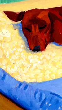 色彩斑驳