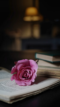 Group of old books and a rose on an open book