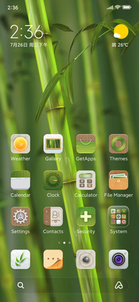 Bamboo Forest