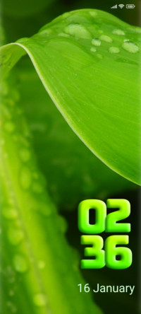 Rain nature