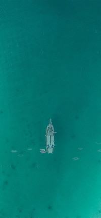 海洋绿