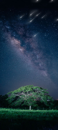 星空寄语