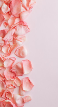 Romance (46)