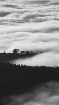 Mother Earth (12)