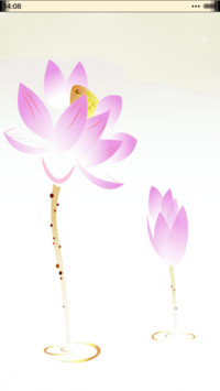 荷花情