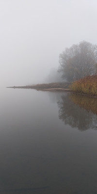 Morning river Odra