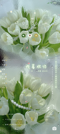 玻璃滤镜夏日郁金香