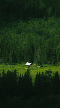 Essence of travel in northern xinjiang