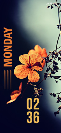 DarkFlower