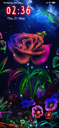 Fantastic Rose