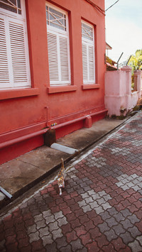 international_building (16)