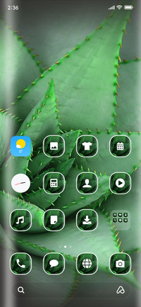 Cactus_3MDS