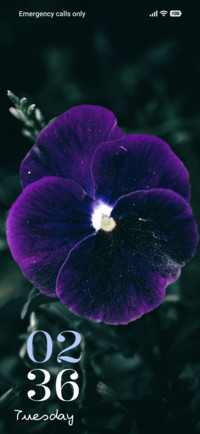 Mystic Purple