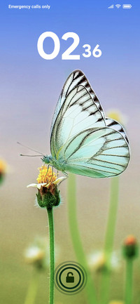 TITLI_DWM19