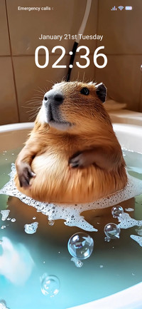 take a bath