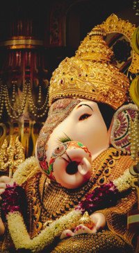 Vibe of India  (34)